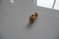 Earrings Gold Snow